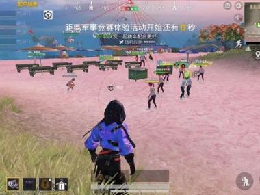 <strong>和平精英科技和平精英皮肤</strong>